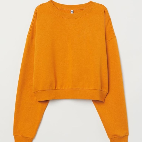 H&M Tops - H&M Crop Sweatshirt